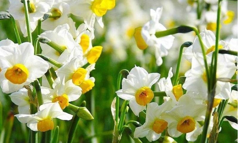آغاز امامت حضرت مهدی (ع)
