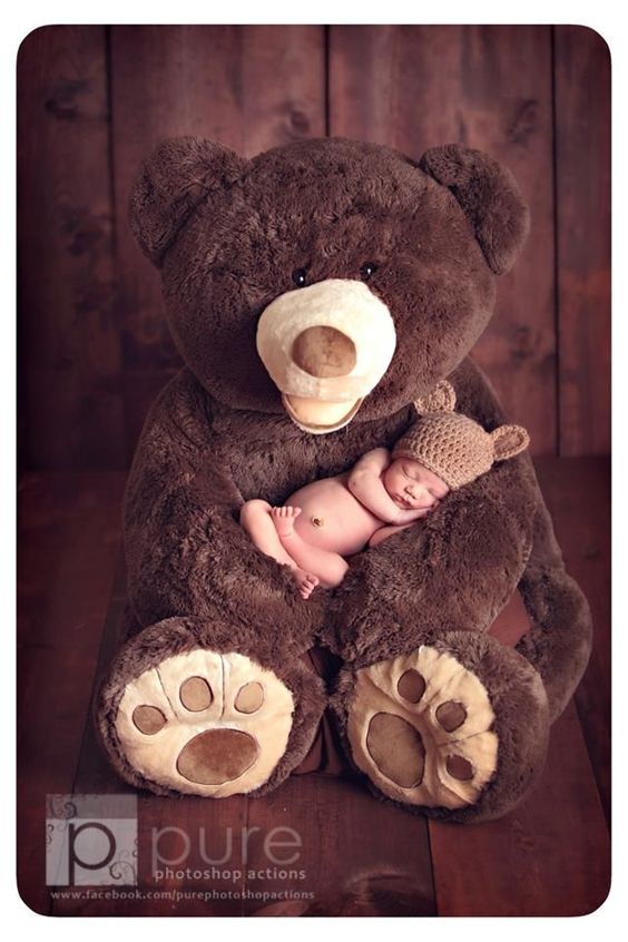 عکس نوزاد پسر بغل خرس عروسکی