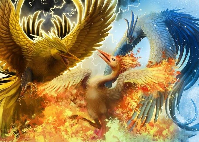 عکس ققنوس واقعی