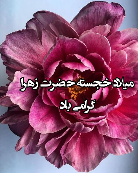 عکس زیبا برای تبریک ولادت حضرت فاطمه