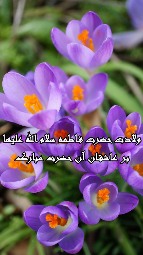 عکس نوشته جدید تبریک ولادت حضرت زهرا