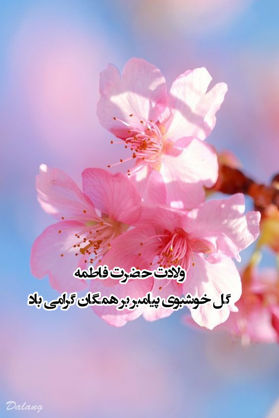 عکس نوشته تبریک میلاد حضرت فاطمه