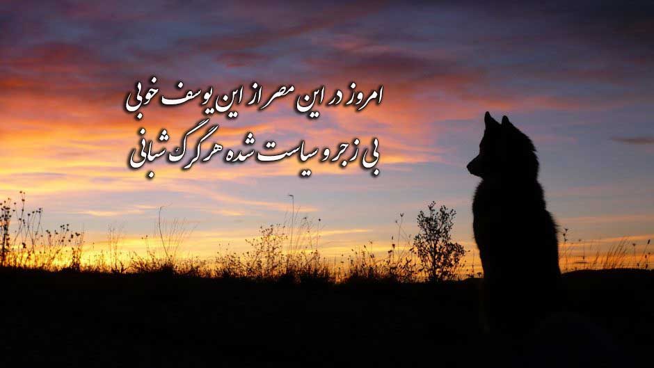 عکس نوشته گرگ با متن زیبا برای استوری اینستاگرام و پروفایل
