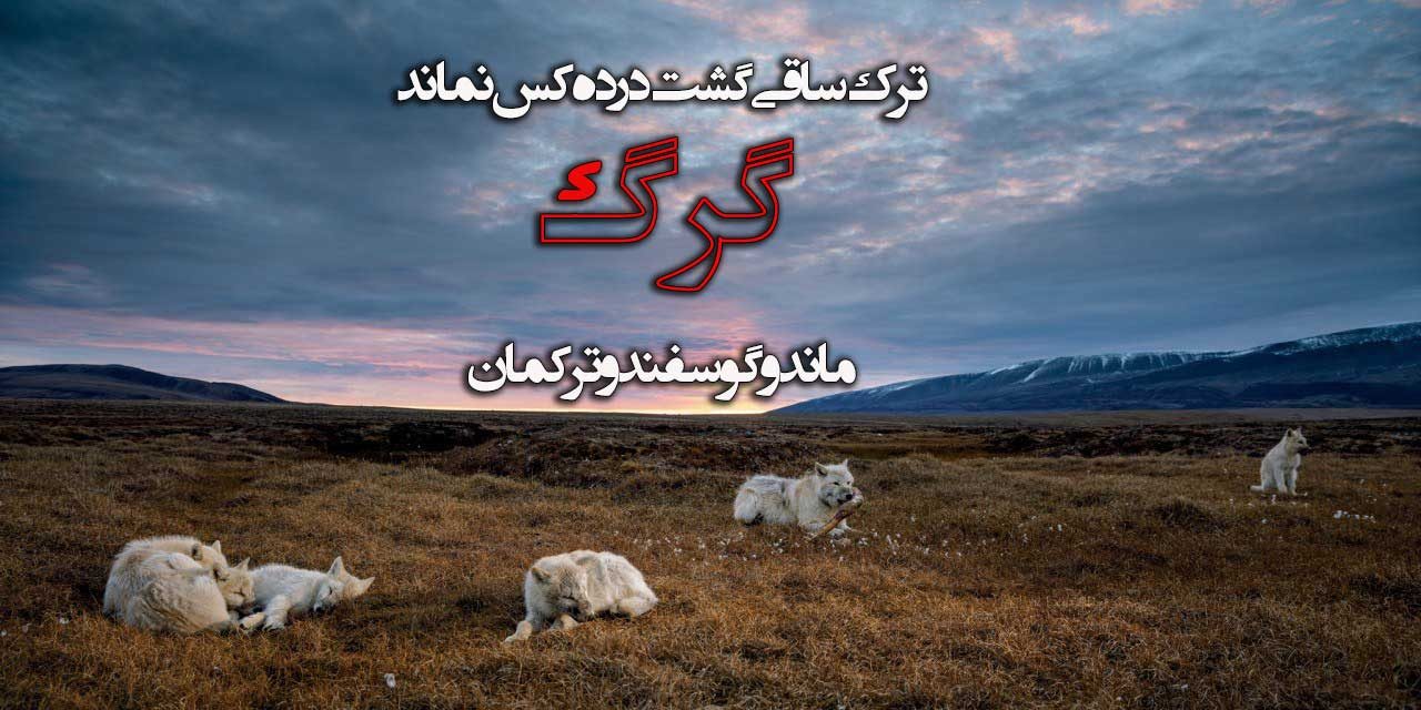 خاص ترین عکس نوشته گرگ برای پروفایل
