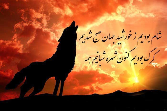 زیباترین عکس نوشته گرگ جدید برای پروفایل
