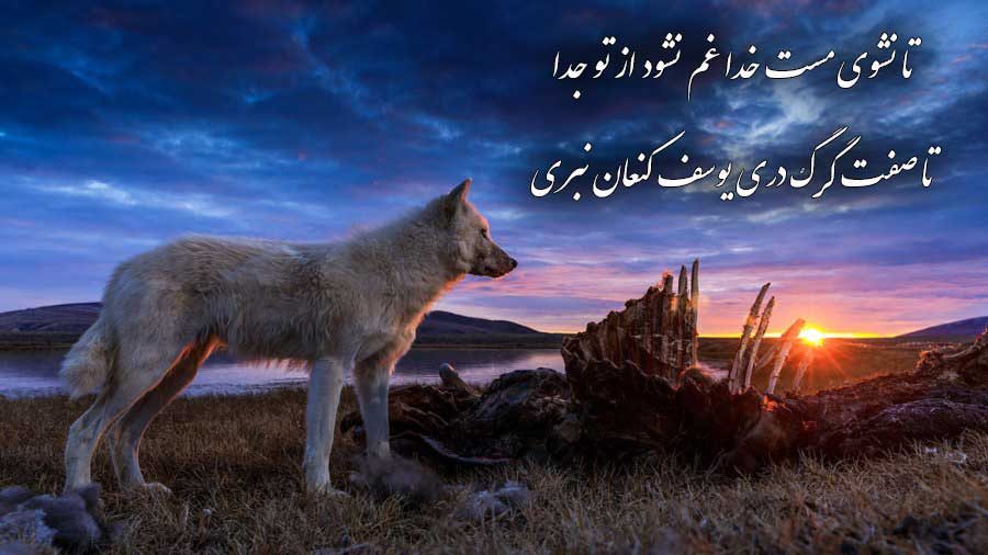 زیباترین عکس نوشته گرگ با کیفیت عالی