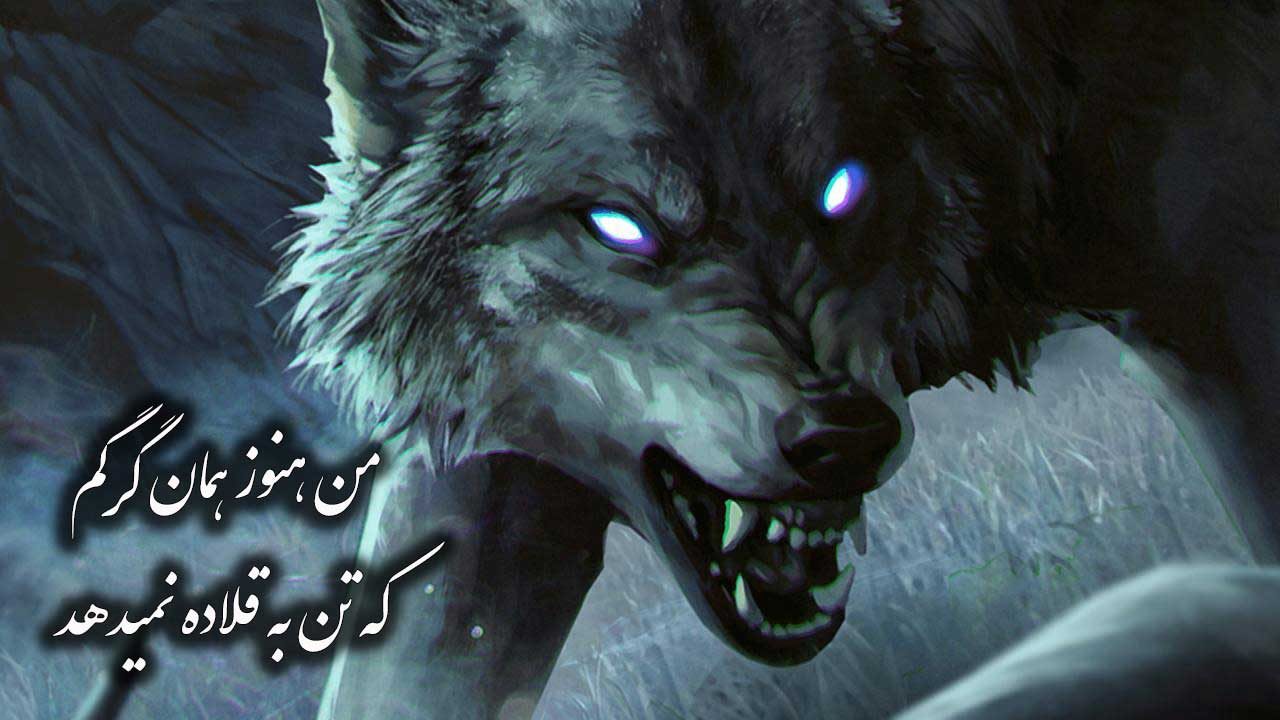 عکس نوشته من همان گرگم برای پروفایل
