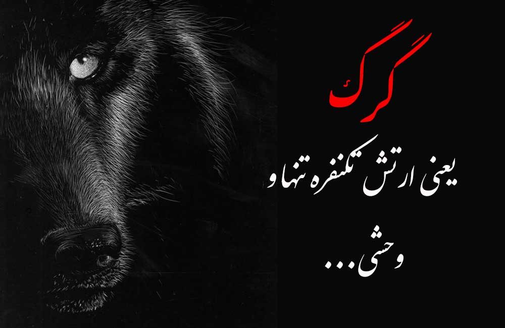 عکس نوشته گرگ یعنی ارتش یکنفره برای پروفایل
