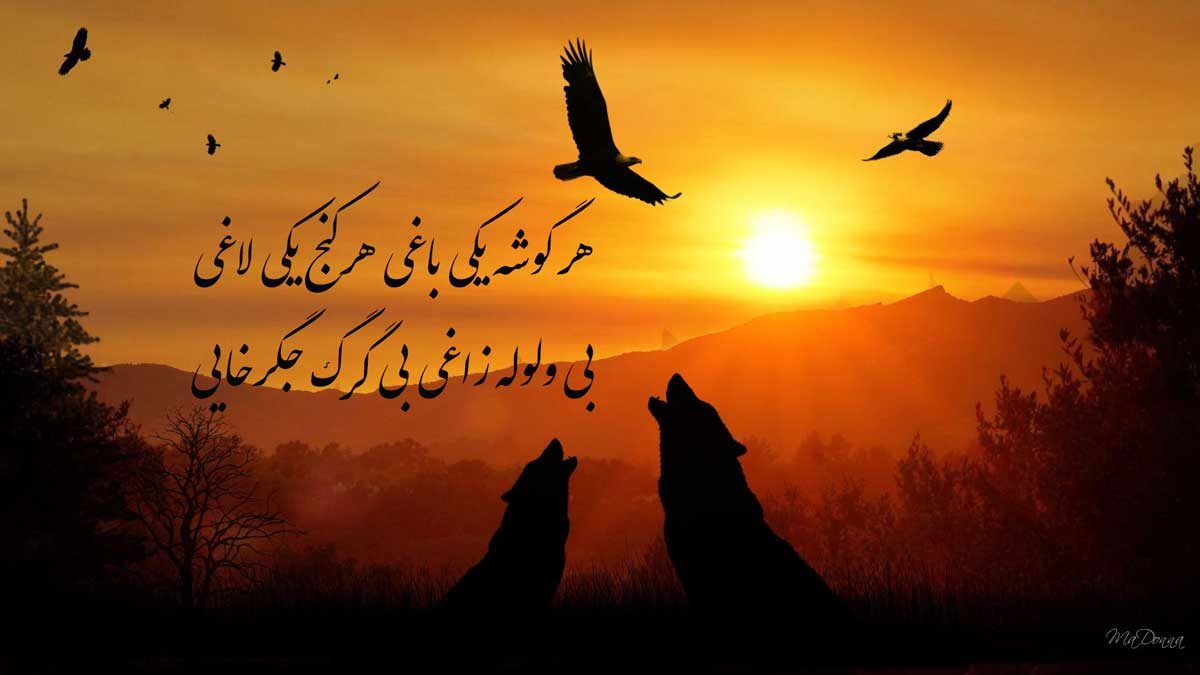 عکس با کیفیت گرگ با نوشته برای پروفایل