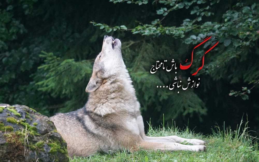 جدیدترین عکس نوشته گرگ باش برای استوری اینستاگرام