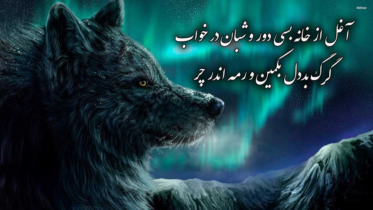 عکس گرگ با نوشته زیبا برای پروفایل و استوری اینستاگرام