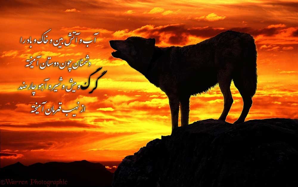 بهترین عکس نوشته گرگ جدید برای پروفایل