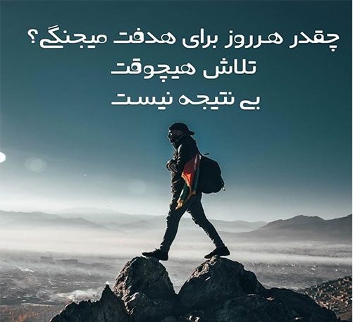 سخنان بزرگان در مورد هدف