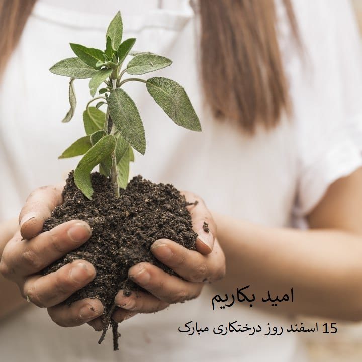 عکس نوشته برای روز درختکاری