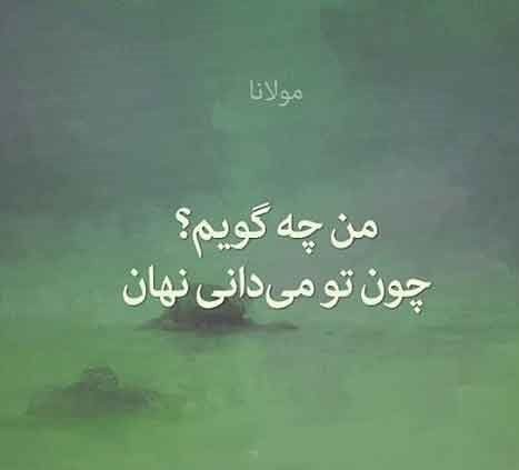 عکس پروفایل مولوی