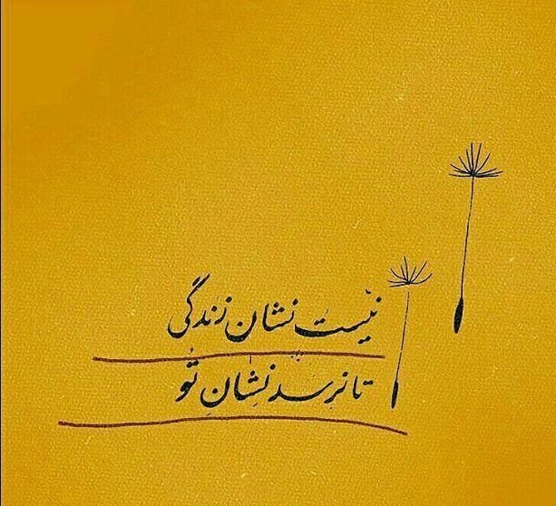 اشعار عارفانه مولانا در مورد زندگی