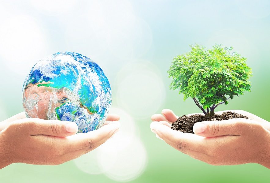 روز جهانی زمین پاک تاریخ