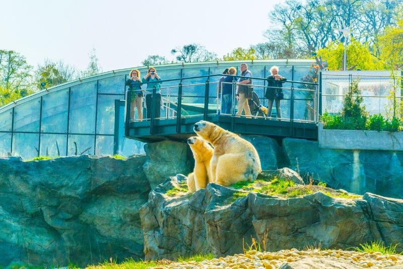 باغ وحش schonbrunn در استرالیا