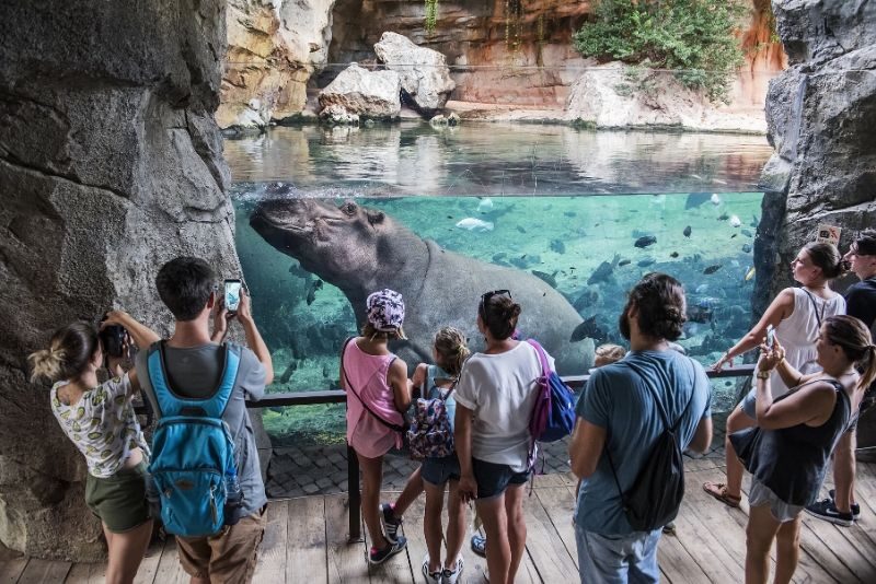 باغ وحش Valencia bioparc در اسپانیا