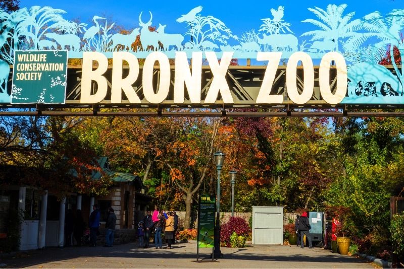 باغ وحش Bronx در آمریکا