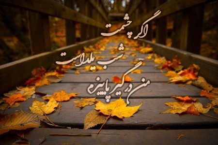 عکس نوشته شعر "اگر چشمت شب یلداست من درگیر پاییزم" برای شب یلدا