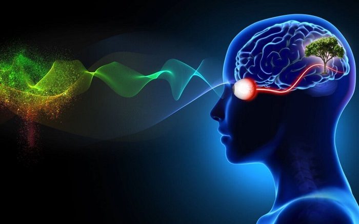 آیا واقعا عقل آدما به چشمشونه؟