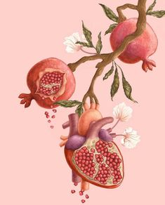 عکس های زیبا بک گراند شب چله