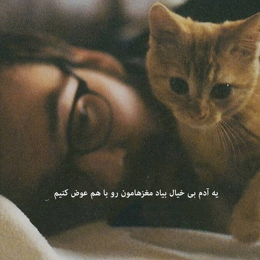 متن پروفایل جالب و جذاب برای اینستاگرام