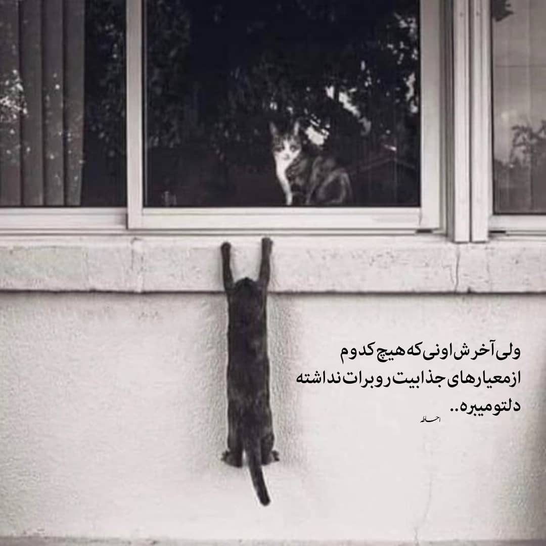 متن پروفایل جالب و جدید برای اینستاگرام و واتساپ