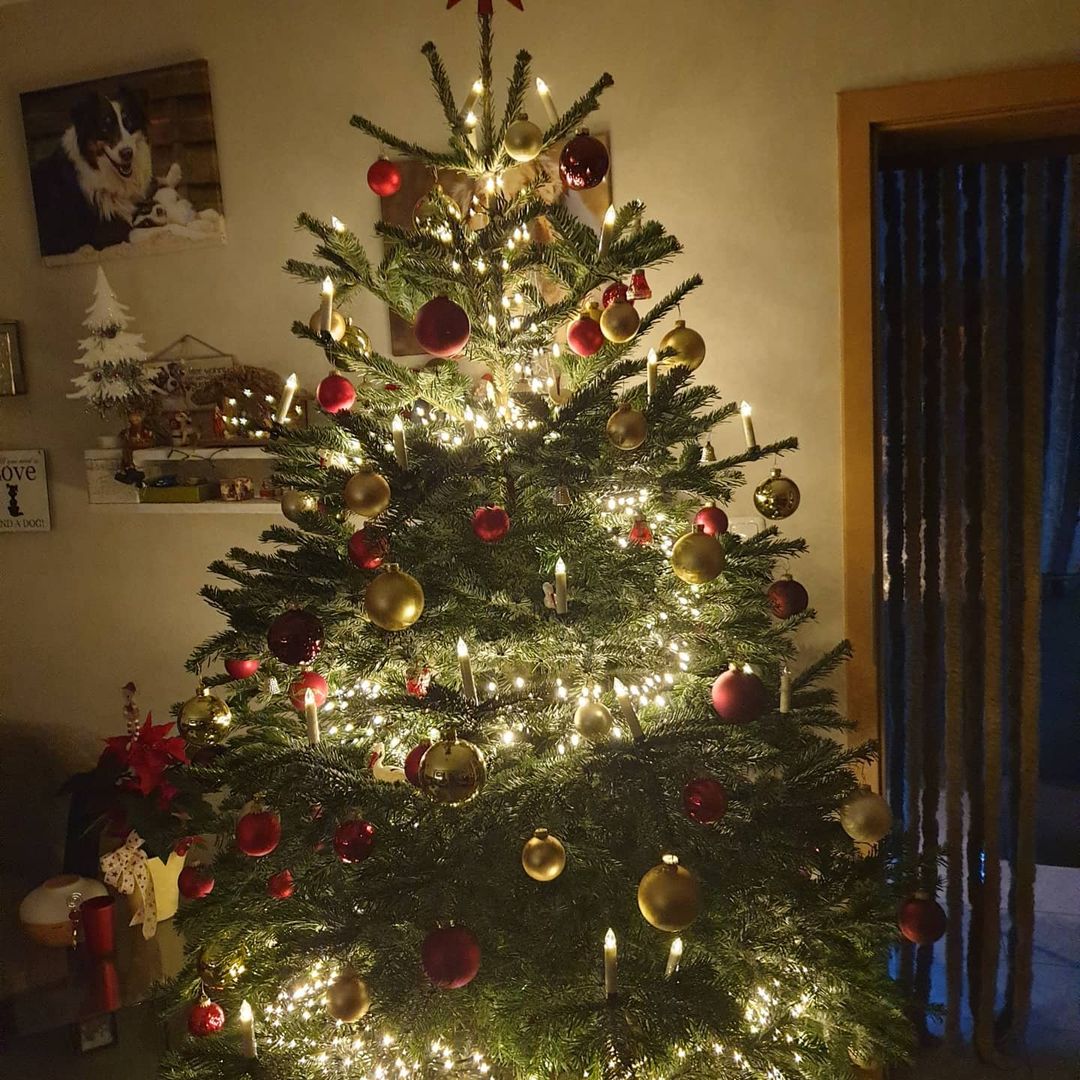 تزیین درخت ساده کریسمس 2021