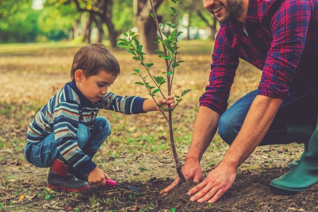 عکس روز درختکاری کودک با پدر