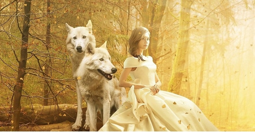 عکس دختر با گرگ برای پروفایل