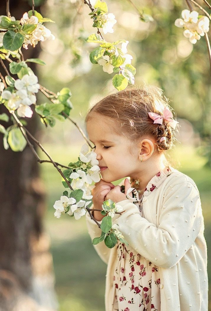 معنای نام شکوفه